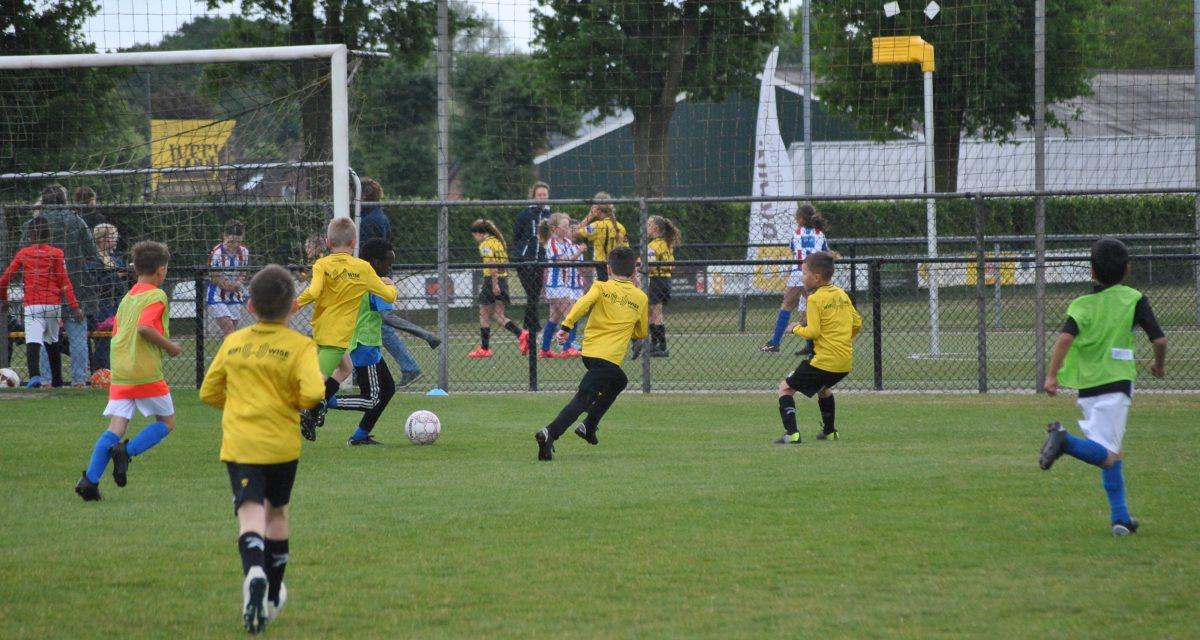 Teamindeling Jeugd Voetbal 2025-2026