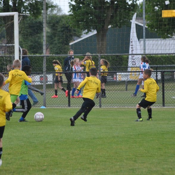 Teamindeling Jeugd Voetbal 2025-2026